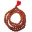Picture of Rudraksha Mala 100