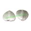 Picture of Sterling Silver .925 Brushed Beads, size: 13x13x3mm, weight: 1.57 grams.