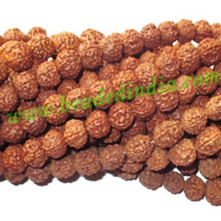 Picture for category rudraksha string without knots