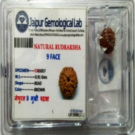 Picture for category certified rudraksha beads