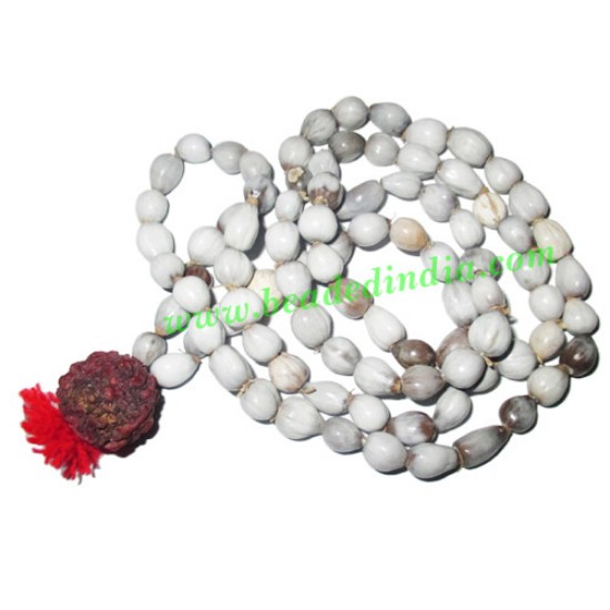 Picture of Vaijayanti Seeds String (mala of approx 108 vaijayanti 6-7mm beads + 1 rudraksha 16mm beads), pack of 1 string.