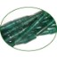 Picture of Fine Quality Aventurine Plain Tube, size: 9mm to 12mm