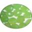 Picture of Fine Quality Chalcedony Lime Faceted Tumble, size: 15mm to 25mm