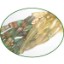 Picture of Fine Quality Fluorite Multi Twisted Cube, size: 12mm to 16mm