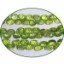 Picture of Fine Quality Peridot Faceted Onion, size: 5mm to 6mm