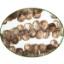 Picture of Fine Quality Smoky Topaz Faceted Drops, size: 7mm to 8mm