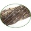 Picture of Fine Quality Smoky Topaz Plain Tube, size: 9mm to 12mm