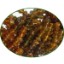 Picture of Fine Quality Petro Tourmaline Faceted Roundel, size: 4mm to 5mm