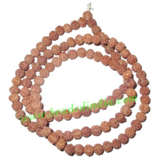 Picture of 5 Mukhi (five face), size: 5mm, natural color rudraksha beads string (mala), without dyeing