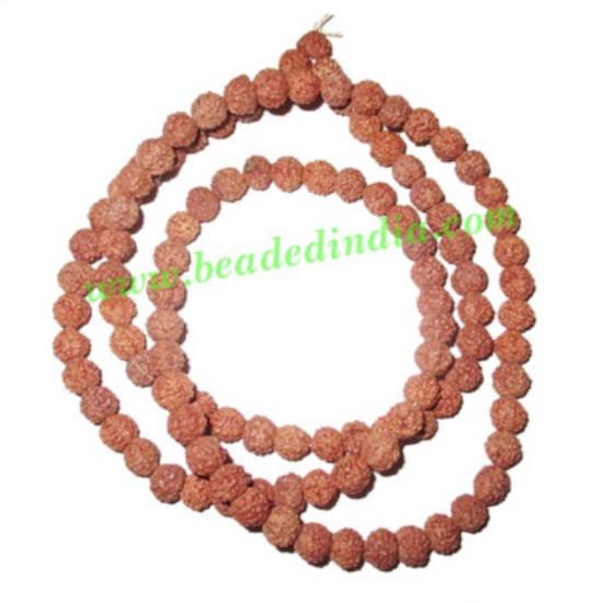 Picture of 5 Mukhi (five face), size: 6.5mm, natural color rudraksha beads string (mala), without dyeing