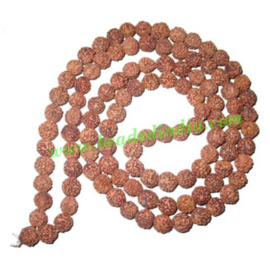 Picture of 5 Mukhi (five face), size: 7mm, natural color rudraksha beads string (mala), without dyeing