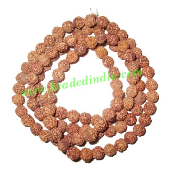 Picture of 5 Mukhi (five face), size: 7.5mm, natural color rudraksha beads string (mala), without dyeing