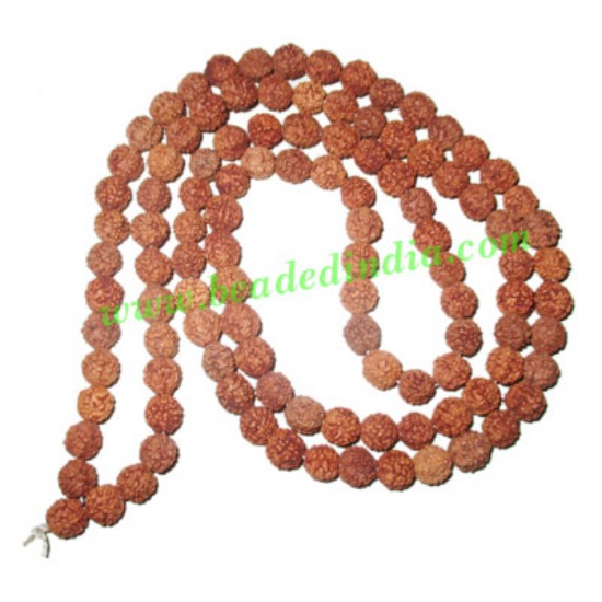 Picture of 5 Mukhi (five face), size: 8mm, natural color rudraksha beads string (mala), without dyeing
