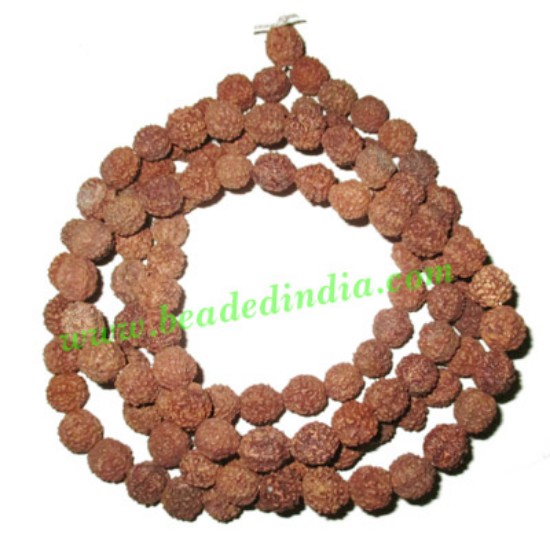 Picture of 5 Mukhi (five face), size: 10mm, natural color rudraksha beads string (mala), without dyeing