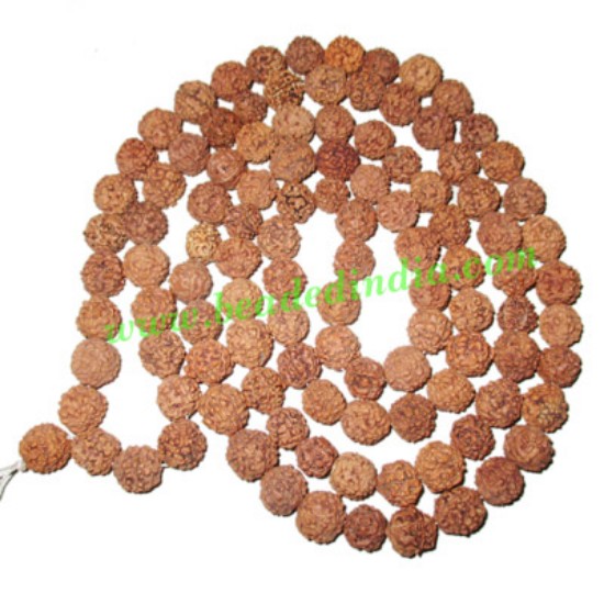 Picture of 5 Mukhi (five face), size: 11mm, natural color rudraksha beads string (mala), without dyeing