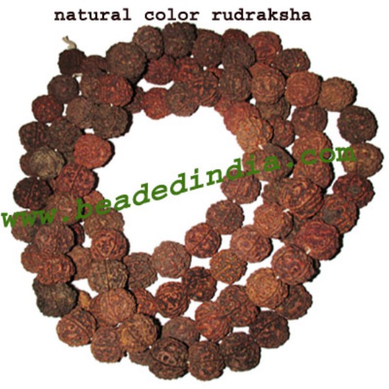 Picture of 5 Mukhi (five face) natural, size: 14mm, natural color rudraksha beads string (mala), without dyeing